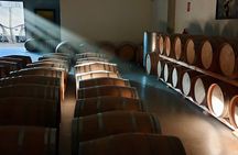 Visit and Wine Tasting at the Territorio Luthier Winery