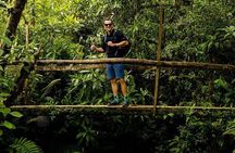 Full-Day Bajos del Toro Hiking Experience