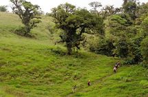Full-Day Bajos del Toro Hiking Experience