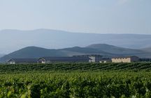 Visit and tasting in Otazu