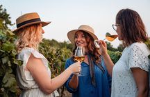 Sunset wine tasting in vineyard