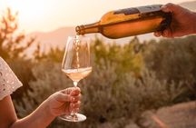 Sunset wine tasting in vineyard