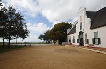 Full-Day Constantia Wine Tour from Cape Town