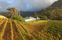 Full-Day Constantia Wine Tour from Cape Town