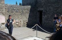 Private tour of the Pompeii excavations