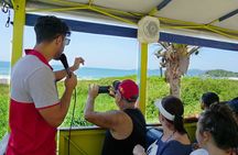 Bombinhas with Beach Safari by Casa do Turista