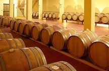Small-Group Chianti Trip with Wine Tasting from Siena