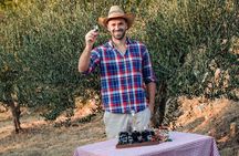 Olive farm & village 