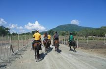 mountain horse back riding