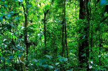 Cruiseline Excursion Colon: Rainforest, San Lorenzo Fort and Canal Expansion