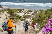 1 Day Private Tour with Basic Landscape Photography Around Dunedin