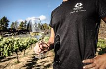 Visit to Arafo Mountain Vineyard and Organic Wine Tasting