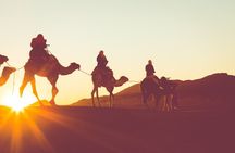 Private Tour west Bank Valley of the Kings including Came Ride