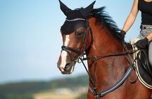 Private Tour west Bank Valley of the Kings including Came Ride