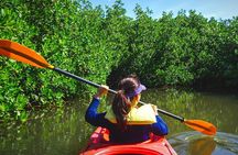 Tropical Kayak Tour