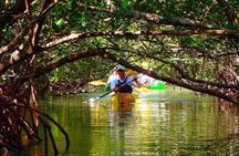Tropical Kayak Tour