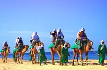 Cabo Camel and Safari Ride