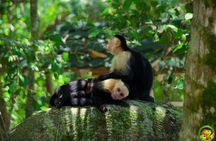 Manuel Antonio National Park Tour