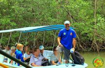 Damas Mangrove Boat Tour
