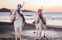 Horseback Riding to Conchal Beach from Tamarindo & Flamingo