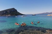 Kayak tour with aperitif and dolphins