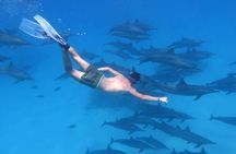 Hurghada Dream Island