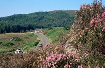 Loch Lomond & Stirling Castle Small Group Tour from Glasgow