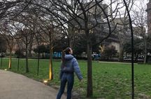 Private London Tour - British Museum, Trafalgar Square, Big Ben, Downing Street