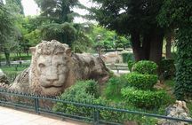 Middle Atlas Mountains, Cedar Forest and Azrou Day Trip from Fez