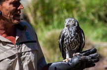 Healesville Sanctuary And Phillip Island Wildlife Bus Tour