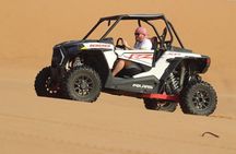 Dubai Buggy Tour in red sands and Desert Safari 