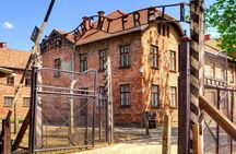 From Krakow: Live Guided Tour Auschwitz-Birkenau