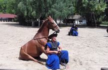 The "Puszta" Horse Show