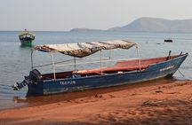 Gombe National Park Chimpanzee Trekking
