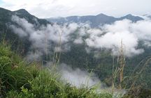 Coimbatore to Ooty- transfers+Hotel+Sightseeing