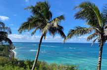 Private Circle Island Off-the-Beaten- Oahu Tour