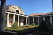 Pompeii with an archaeologist, small group!!!