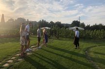 Chianti and San Gimignano - 2 Wineries with Pairing Lunch