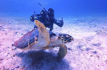 Open Water Certification Course-PADI