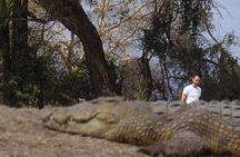 2 Days Wildlife Safari in Mikumi National Park