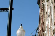 Private Frida and Friends Tour in Pilsen