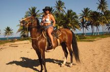 Horseback Riding on the Beach Free Transportation