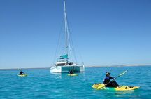 3 Night Ningaloo Reef Snorkel and Dive Getaway from Coral Bay