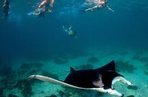3 Night Ningaloo Reef Snorkel and Dive Getaway from Coral Bay