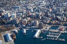 Hobart 1-Hour Learn to Fly Experience