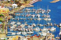 Shore Excursion Ensenada: Tuk Tuk and Horseback Beach Ride
