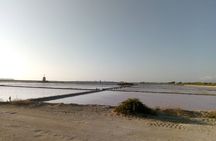 Private Tour Zingaro and Sunset in Marsala