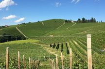 Private Barolo / Barbaresco - Piedmont Wine Tours and Tastings 