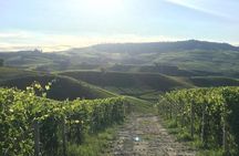 Private Barolo / Barbaresco - Piedmont Wine Tours and Tastings 