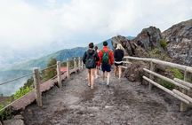 Private Half-Day Sightseeing Tour of Vesuvius National Park